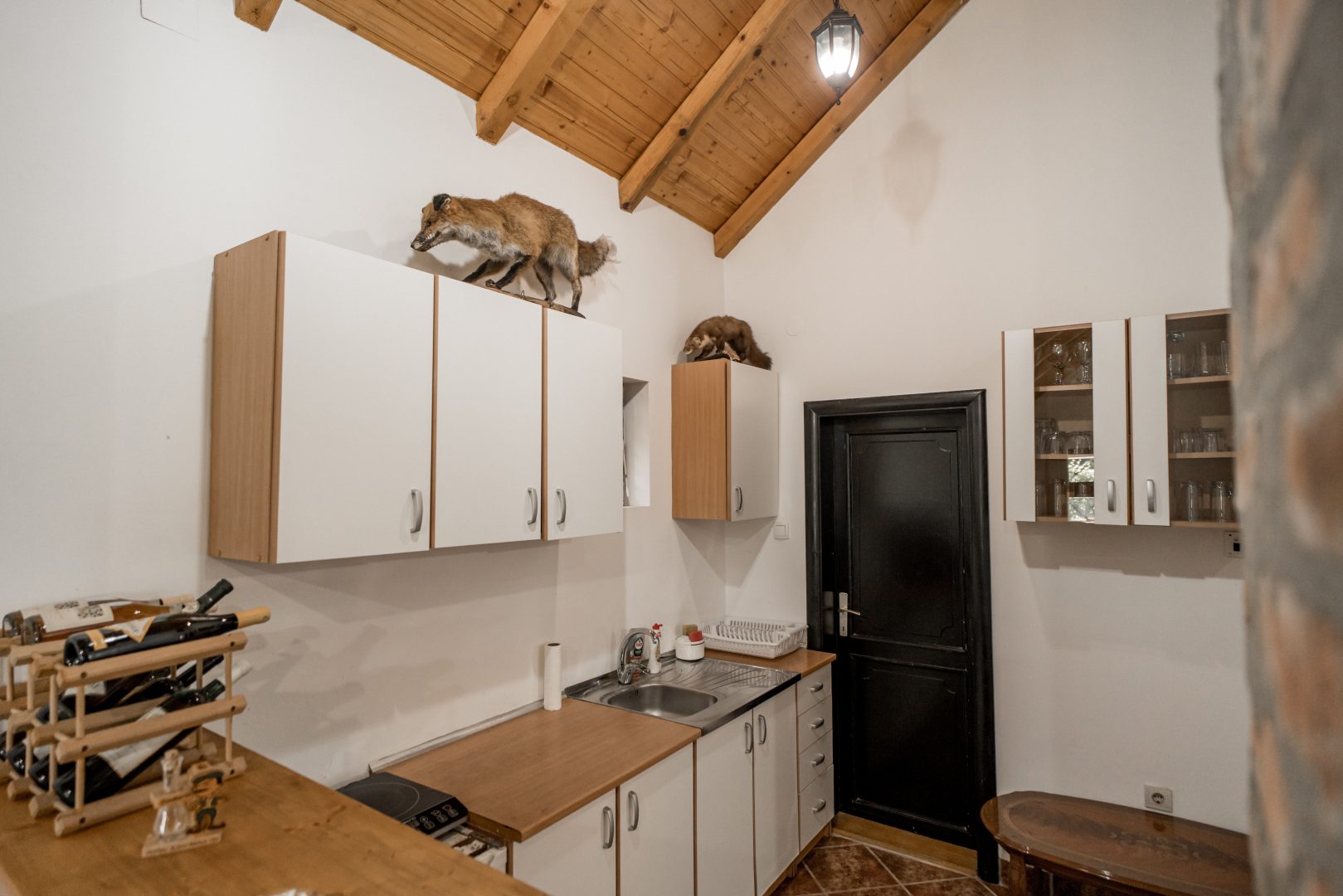 Villa Tedi